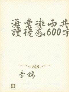 海棠微雨共归途读后感600字