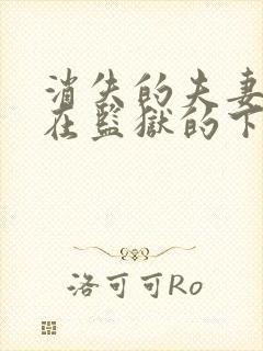 消失的夫妻凶手在监狱的下场