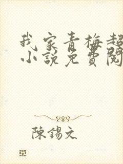 我家青梅超甜的小说免费阅读