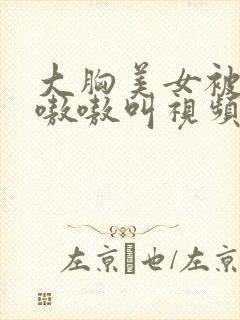 大胸美女被c的嗷嗷叫视频