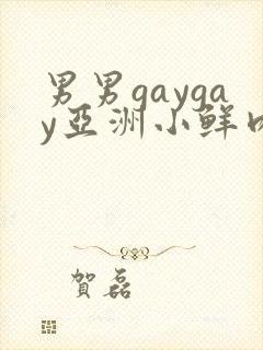 男男gaygay亚洲小鲜肉网站