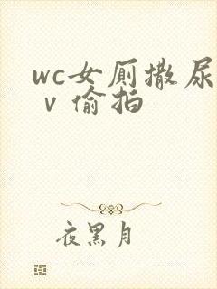 wc女厕撒尿七ⅴ偷拍