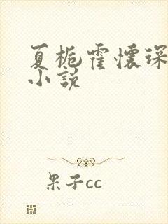 夏栀霍怀琛兄妹小说