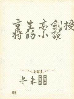 重生亮剑授衔大将的小说封面