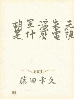 胡军演朱元璋的是什么电视剧