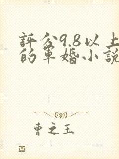 评分9.8以上的军婚小说封面