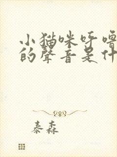 小猫咪呼噜呼噜的声音是什么意思