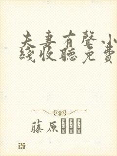 夫妻有声小说在线收听免费听