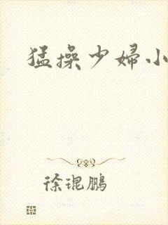 猛操少妇小说