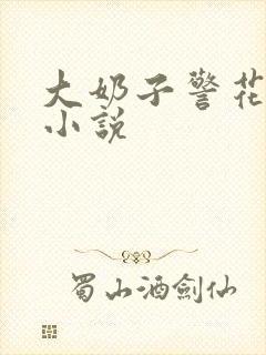 大奶子警花叶柔小说
