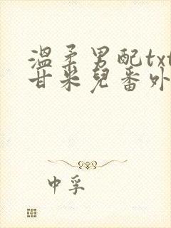 温柔男配txt甘米儿番外txt封面