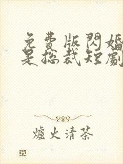 免费版闪婚老公是总裁短剧