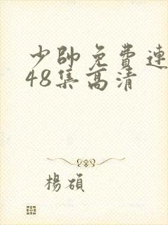少帅免费连续剧48集高清