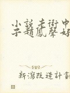 小说老街中的痞子赵凤声好看么