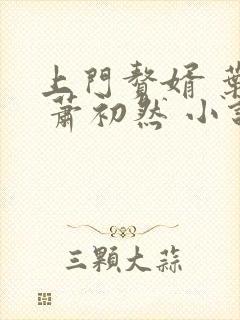 上门赘婿 叶辰 萧初然 小说