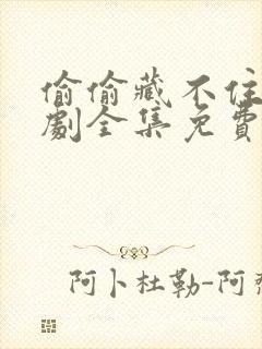 偷偷藏不住电视剧全集免费观看完整