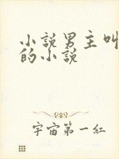 小说男主叫沈倦的小说