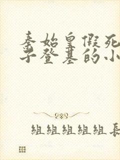 秦始皇假死二公子登基的小说