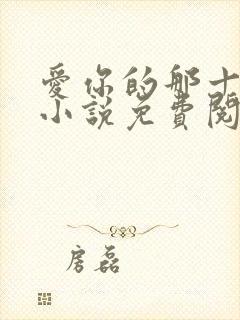 爱你的那十一年小说免费阅读