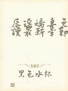 辰瑶娇妻免费阅读最新章节更新