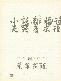 小说,离婚后前夫哭着求复婚封面