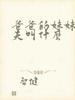 爸爸的妹妹的丈夫叫什么封面