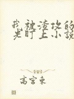 我被渣攻的白月光盯上小说免费阅读笔趣阁封面