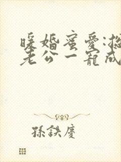 暖婚蜜爱:总裁老公一宠成瘾小说