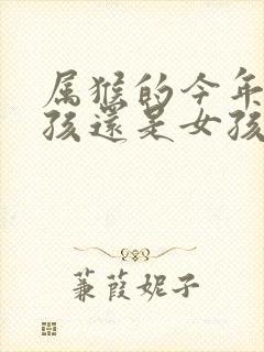 属猴的今年生男孩还是女孩