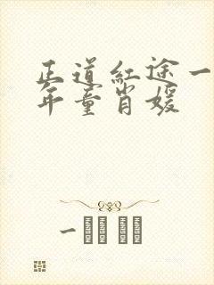 正道红途一李初年童肖媛封面