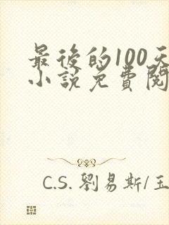 最后的100天小说免费阅读