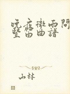 晚夜微雨问海棠竖笛曲谱封面