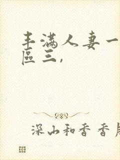 丰满人妻一区二区三,