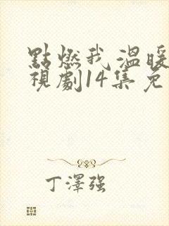 点燃我温暖你电视剧14集免费观看封面