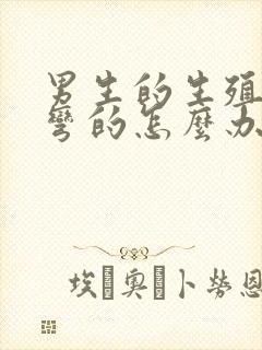 男生的生殖器是弯的怎么办