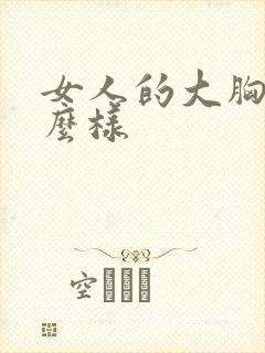 女人的大胸长什么样封面