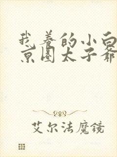 我养的小白脸是京圈太子爷完整版