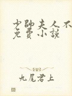 少帅夫人不好惹免费小说