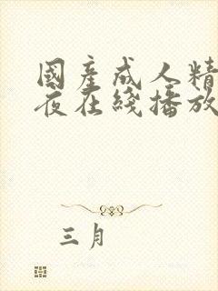 国产成人精品午夜在线播放