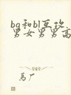 bg和bl互攻男女男男高h文