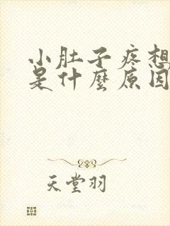 小肚子疼想拉尿是什么原因封面