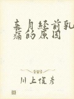 来月经前乳房胀痛的原因