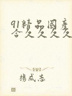91精品国产综合久久久久久导航封面