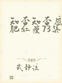 知否知否应是绿肥红瘦73集