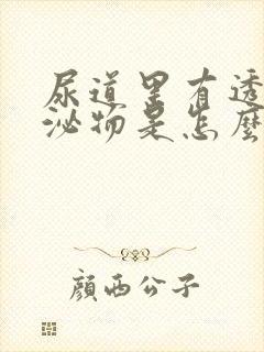 尿道里有透明分泌物是怎么回事