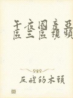 午夜国产亚洲二区三区视频