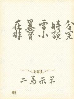 在暴雪时分墨宝非宝小说完整版