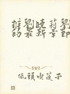 推刘晓莉刘亦菲的最新章节