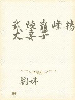 武炼巅峰杨开9大妻子