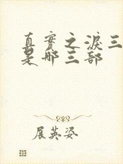 真实之泪三部曲是哪三部